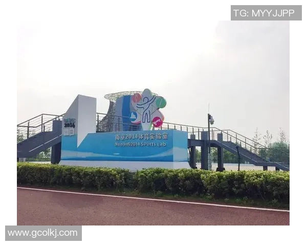 南京攀岩队心理素质探讨：挑战自我与团队协作的心路历程