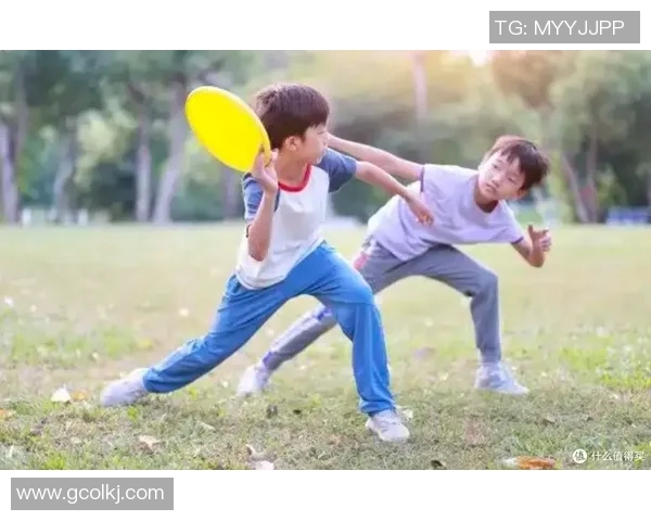 飞盘新手必看:从基础技巧到实战应用的全面入门指南 飞盘新手必看:从基础技巧到实战应用的全面入门指南