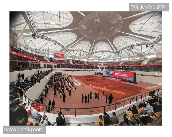 南京网球队在全运会中的灵活性表现引发关注与思考