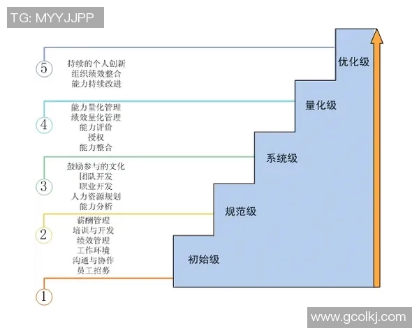 南京排球队在精英赛中的个人能力分析与表现评估
