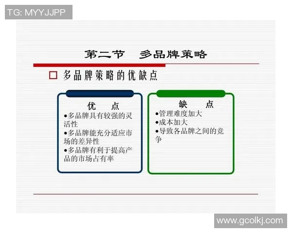成都乒乓球队耐力训练的关键因素与提升策略探讨