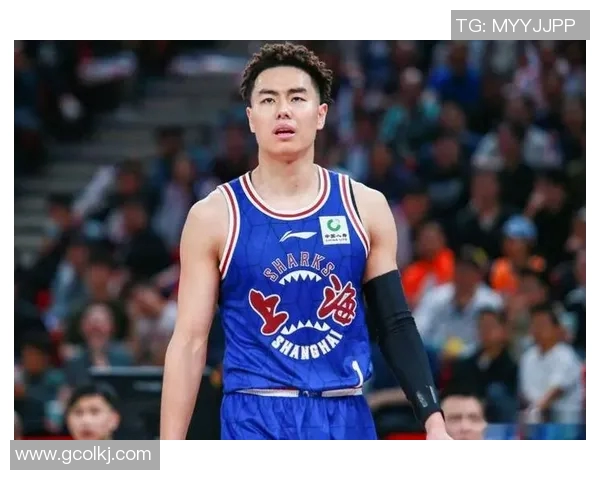 篮球个人能力排行榜出炉上海篮球队荣登第七位展现强劲实力 篮球个人能力排行榜出炉上海篮球队荣登第七位展现强劲实力