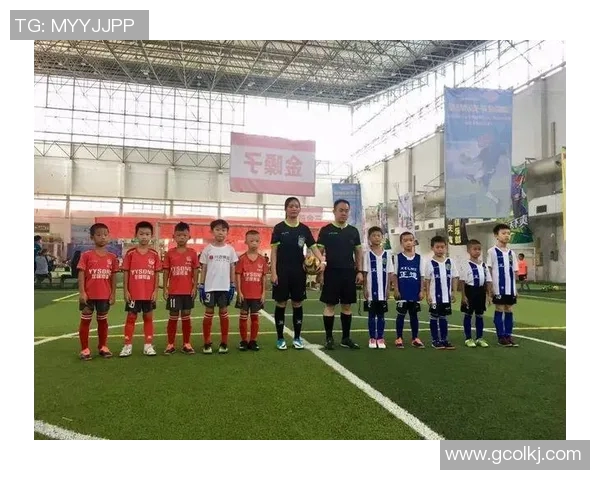 上海排球队在精英赛中的心理素质分析与表现评估 上海排球队在精英赛中的心理素质分析与表现评估