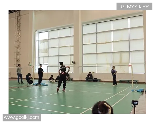 上海羽毛球队在精英赛中的速度表现分析与评价